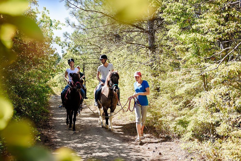 Верховая езда