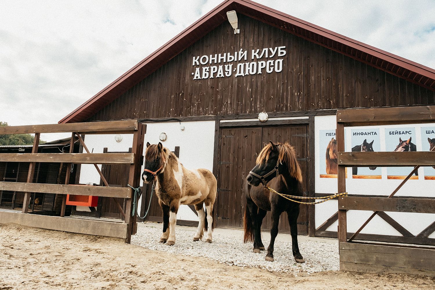 В Абрау-Дюрсо пройдёт Южная конно-ветеринарная конференция «ЭКВИСВЕТ»