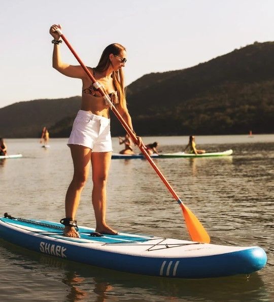 Сапбординг