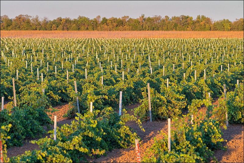 «Вглубь веков» — Историческая экскурсия
