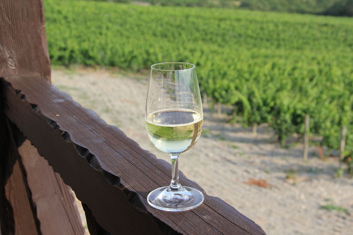 Исторический энотур в «Мысхако»