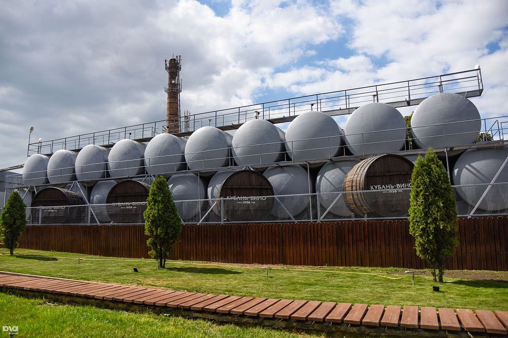 Кубань Вино