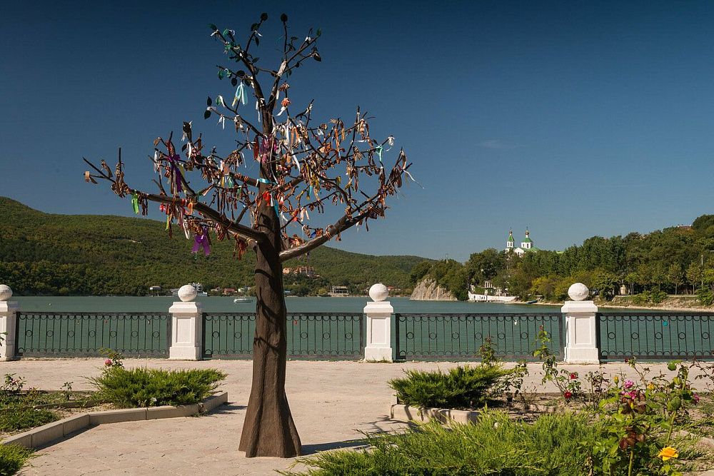 Дерево желаний