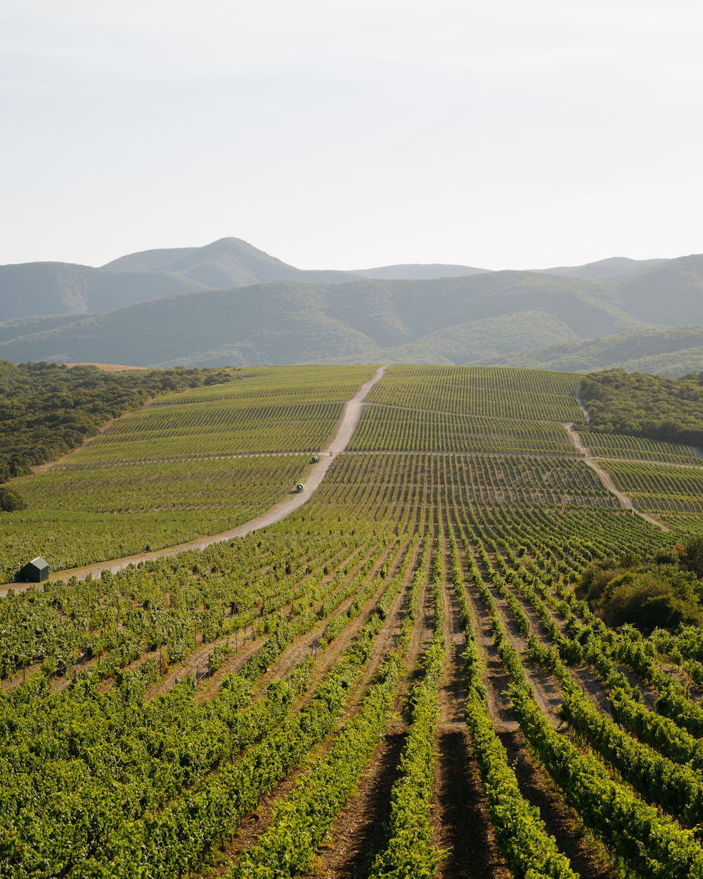 Премиум экскурсия